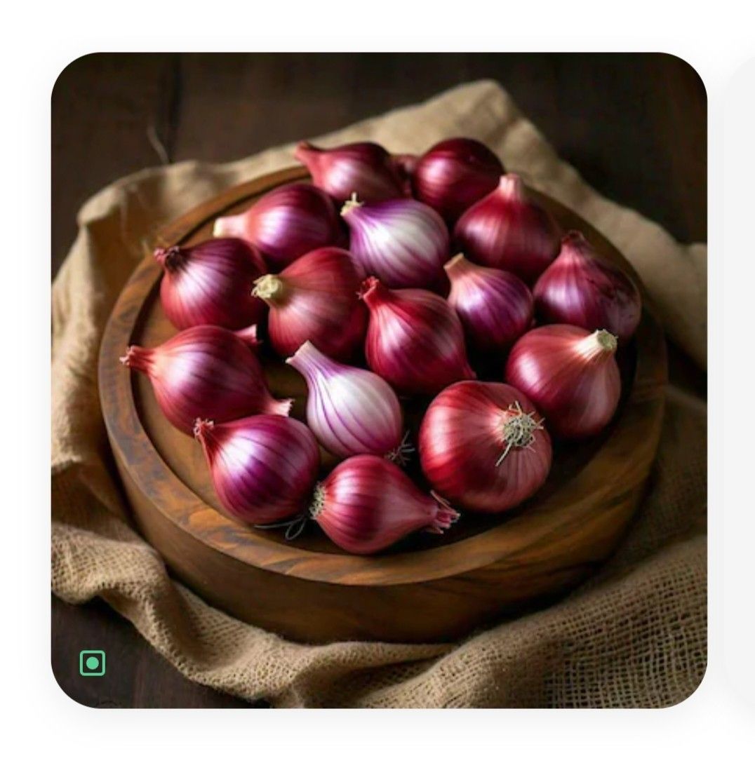 Onion - Image 2
