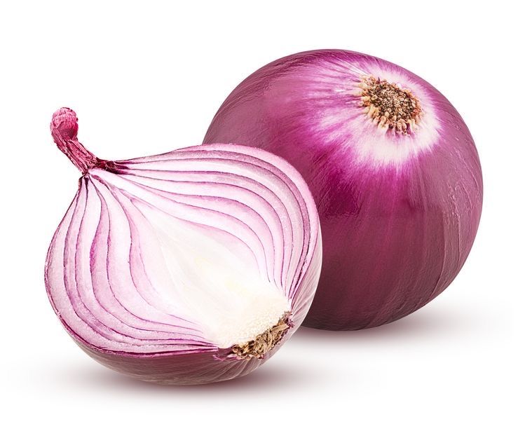 Onion - Image 4