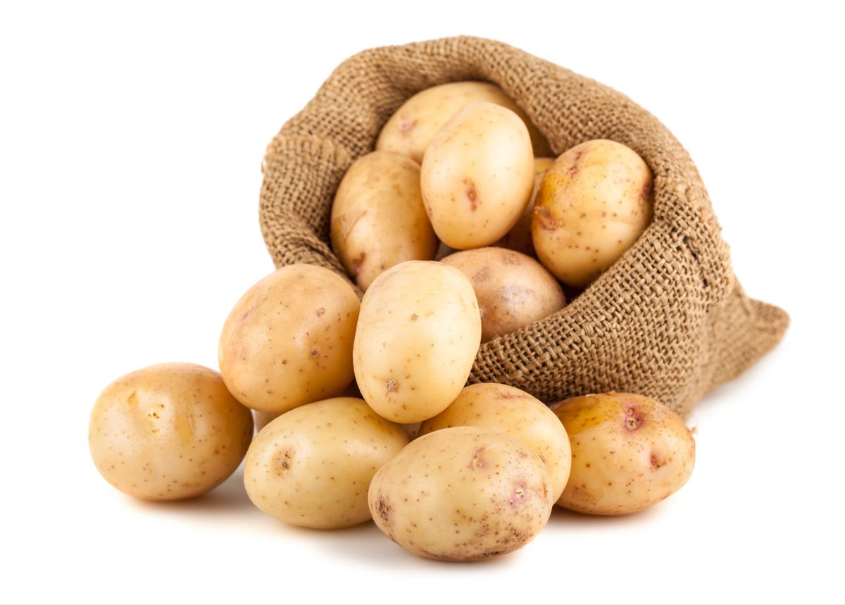 Potato - Image 2