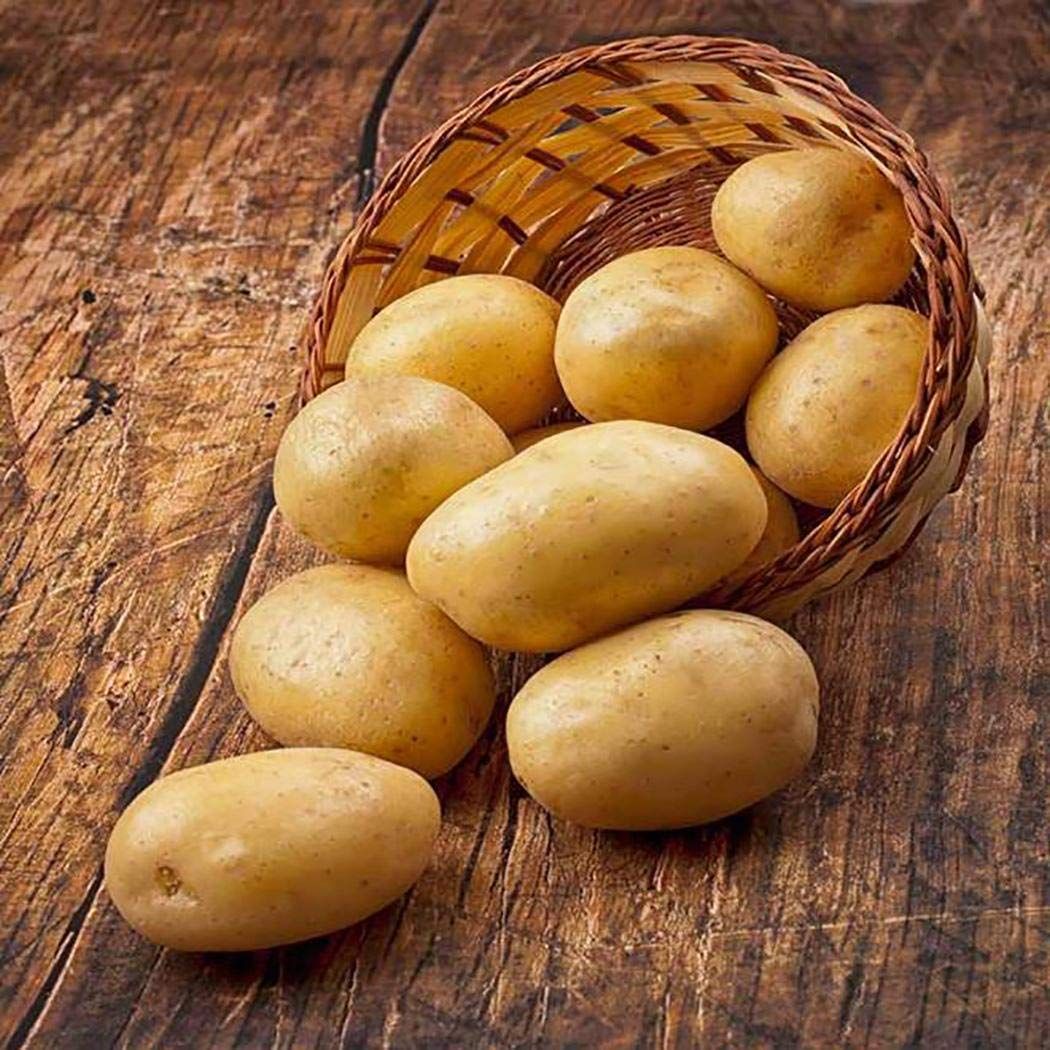 Potato - Image 3